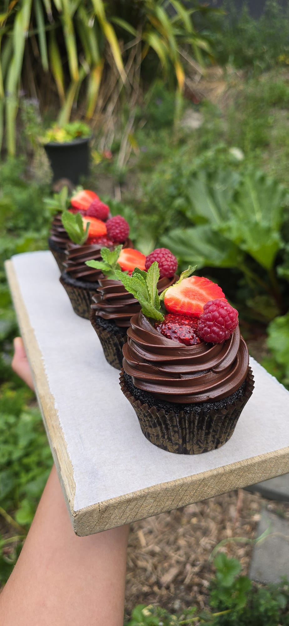 Cupcakes chocolate con frambuesas y frutillas