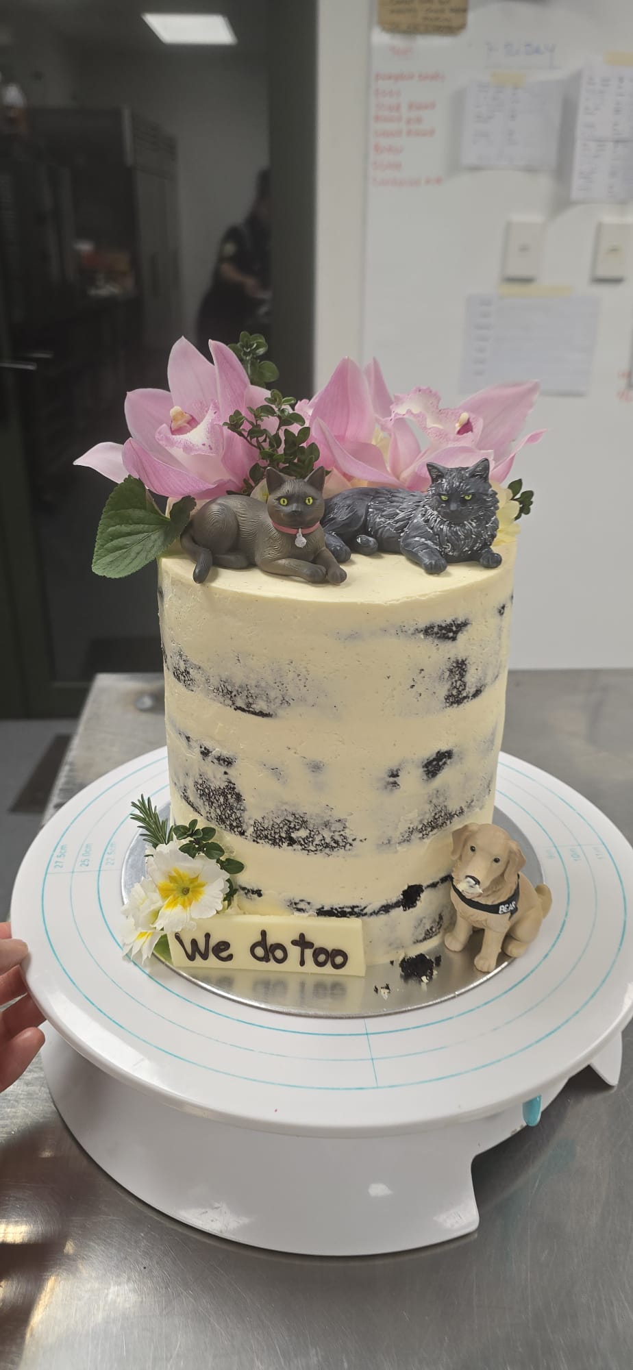 Torta We Do Too con figuritas de mascotas